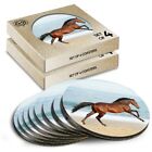 8 x Boxed Round Coasters - Brown Horse Galloping Beach #44248