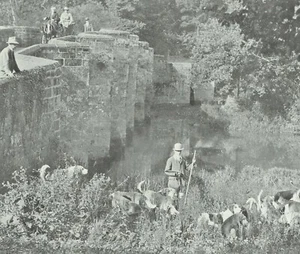 Crowhurst Otterhounds Meet Stopham Bridge River Arun 1929 Foto Artículo K717 - Imagen 1 de 2