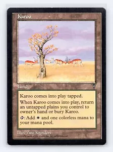 Visions Karoo - Imagen 1 de 2