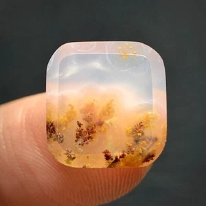 Tiny Scenic Moss Agate Cabochon 12x11x4mm High Quality 6 ct - Picture 1 of 7