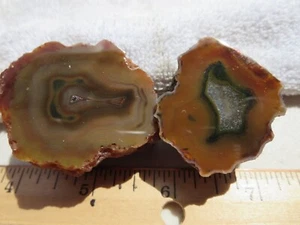 637 PAIR FACE POLISHED CONDOR AGATES. COLLECTOR OR DISPLAY PIECES. ARGENTINA - Picture 1 of 3