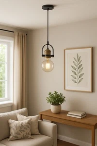 Farmhouse Pendant Light black And Gold w/6ft Cord BLACK - Bulb Not Included - Picture 1 of 4