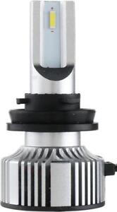 Philips Untinon Essential Electrical, Lighting and Body Headlight Bulb