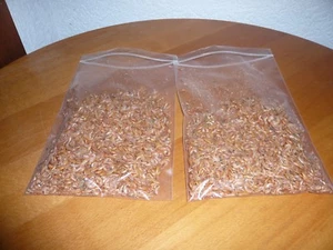 600 ml Gammarus Bachflohkrebse , Fischfutter , Futter Nagetiere (11,31€/L) - Bild 1 von 1