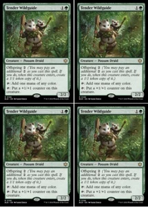 MTG - TENDER WILDGUIDE - Bloomburrow (R) - Picture 1 of 3