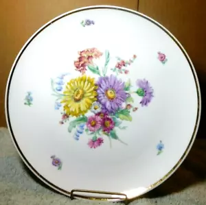 F. Furstenberg~Germany Vintage Floral Seit 1747 01738 75 Yr. 1960's Single Plate - Picture 1 of 12