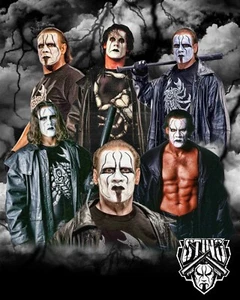 STING 8x10 CUSTOM PHOTO WWE ROH ECW TNA NXT HOH AEW - Picture 1 of 1
