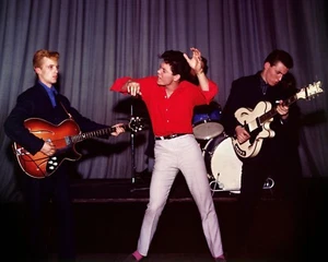 Cliff Richard and the Shadows 10" x 8" Photograph no 27 - Imagen 1 de 1