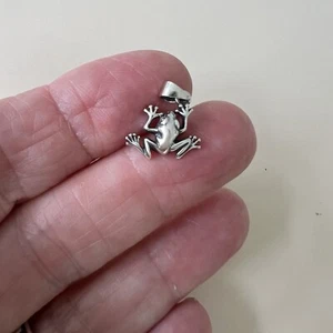 Ciondolo Rana Argento, Piccola Rana Sterling, Ciondolo Naturale, Anfibio Argento Sterling - Foto 1 di 8
