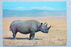 Rinoceronte en cráter Ngorongoro - Tanzania, África - Imagen 1 de 2