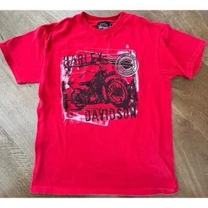 Vintage Harley-Davidson Youth T-Shirt - Picture 1 of 4