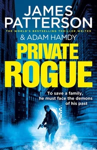 Private Rogue: (Private 16) - Picture 1 of 1