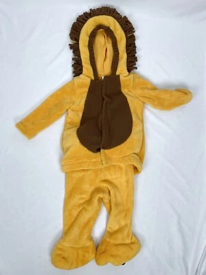 Gymboree Baby 12-18m Lion Plush Fur Halloween Costume 2pc - Image 1 of 4