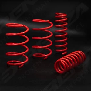 DIRENZA LOWERING SPRINGS F35/R30 FOR FORD MUSTANG GT 5.0 V8 FASTBACK S550 14-21 - Picture 1 of 9