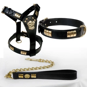 LEDER DESIGNER HUNDEGESCHIRR, KRAGEN, KETTENBLEI KOMBINATIONSSET MIT ALLEN MESSING-PASSFORM - Bild 1 von 12