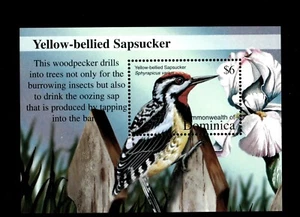 VINTAGE CLASSICS - Dominica 2002 - Birds - Souvenir Stamp Sheet- Scott 2382- MNH - Picture 1 of 1
