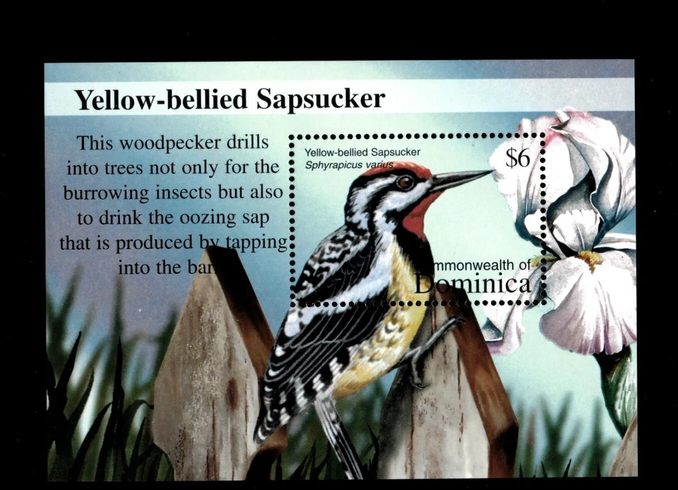 VINTAGE CLASSICS - Dominica 2002 - Birds - Souvenir Stamp Sheet- Scott 2382- MNH - Image 1 of 1