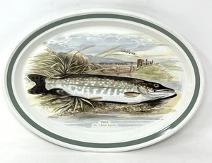Portmeirion The Compleat Angler Plate Platter Pike No 7 Esox Lucius Oval 13 " - Bild 1 von 15