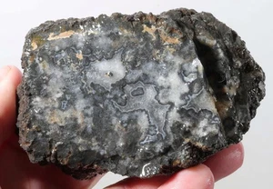 Montana Bear Canyon Agate 1 lb 1 oz rough Lot X - Picture 1 of 15