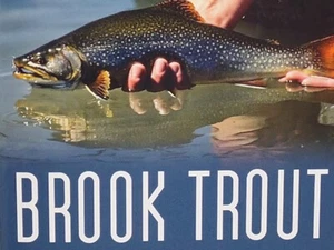 BROOK TROUT: A Through Look At North America's Great" By Nick Karas 1997 - Imagen 1 de 7