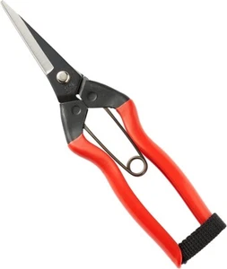 Yoshiri Bud Shears, Left Hand, Made in Japan,For Fruit Tree Sprouts and Picking - Picture 1 of 4