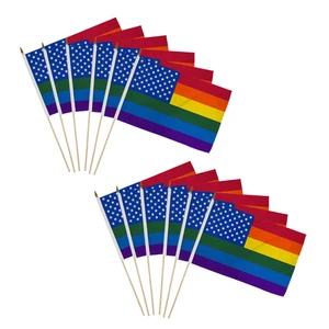 12 Stück Packung Regenbogen US Sterne 12x18 Zoll Stick Flaggen für LGBTQ Pride Paraden Dekor - Bild 1 von 2