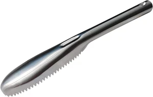 Escamador de Pescado Acero Inoxidable 304 con Dientes para Cocina y Mariscos - Imagen 1 de 12