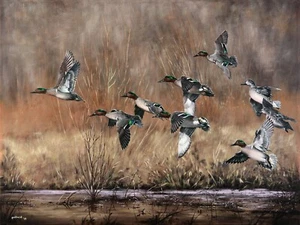 2020 Arkansas Ducks Unlimited Sponsor Print Signed AP Green-Winged Getaway - Picture 1 of 4
