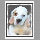 6 Clumber Spaniel Puppy Dog Blank Art Note Greeting Cards