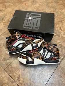 Size 12 - Nike Zoom LeBron 2 Beast - Picture 1 of 8