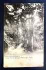 Vintage PATH TO DUNGEON ROCK LYNN MASS. POSTCARD c 1905 Rotograph A 7255 PM 1911