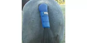Cashel Tail Shield - Picture 1 of 6