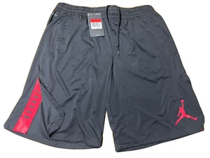 Nike Air Jordan Jumpman Basketball ShortsSz Large 849143 010 2015 Rare - Picture 1 of 4