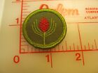 Rolled Edge Type F Forestry Merit Badge Sash Patch (G7)
