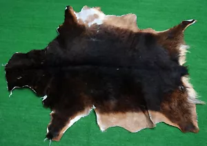Genuine Goat hide Western taxidermy Rug Goat Natural Pattern Fur Goat Skin M-105 - Picture 1 of 3