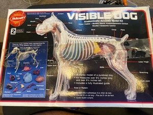 Skilcraft Visible Dog Anatomical Model Plastic Organ Display Educational Toy - Picture 1 of 5
