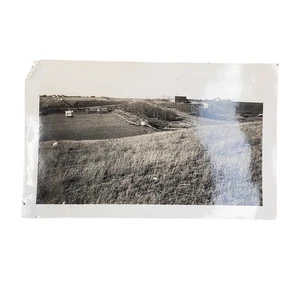 Vtg Beautiful River View Orig Monochrome Photography Found Snapshot Naturecore - Picture 1 of 4