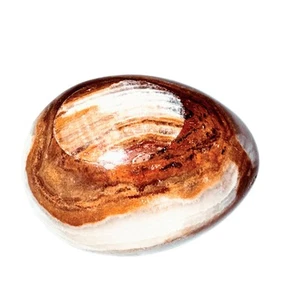 Banded Onyx Egg 3" Polished Natural Stone Figurine Carved Mystic Healing Decor - Picture 1 of 5