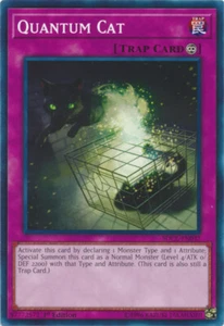 YGO-4x-Near Mint-Quantum Cat - SDCL-EN037 - Common - 1st Edition-SD: Cyberse Lin - Picture 1 of 1