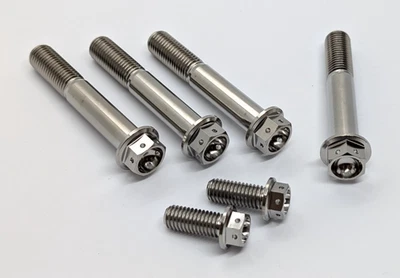 Aprilia RSV4 RF Titanium drilled brake caliper bolt kit 17-19 Ti race full set - Image 1 of 4