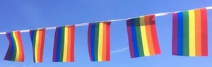 Rainbow Bunting - LGBT- Pride -SALE BARGAIN Free Postage - Picture 1 of 5
