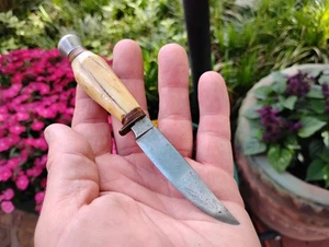VINTAGE SMALL MINI PYRCO GERMANY ANTLER STAG HUNTING KNIFE - Picture 1 of 14