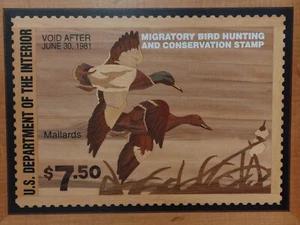 INLAY HUDSON RIVER - SELLO DE PATO ÁNADE REAL - MARQUETERÍA DE MADERA 24 X 19 - #5 - Imagen 1 de 13