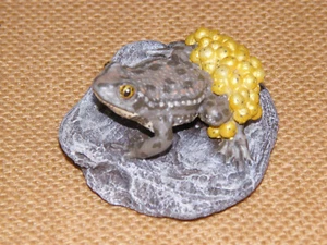 Geburtshelfer-Kröte Frosch Unke  Lurch  Abguß  Lehrmittel  Biologie  Naturschutz - Bild 1 von 2