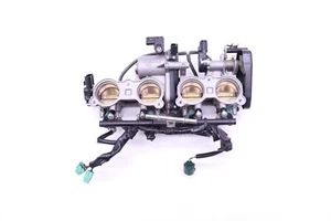 Yamaha YZF R1 1000 2014 12-14 FABRICANTE DE EQUIPOS ORIGINALES carrocería de acelerador inyección de combustible Y124 - Imagen 1 de 19