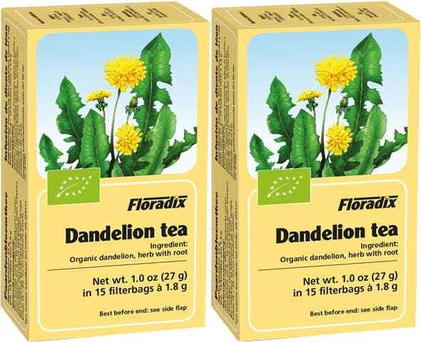 Floradix Herbal Tea Dandelion 15 Teabags X 2