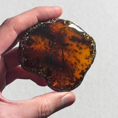 Burmese Amber Fossil: Large Beetle Inclusion, 99 Million Years Old - Image 1 of 4