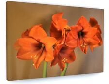 ORANGE LILY FLOWER MEADOW CANVAS PICTURE PRINT WALL ART #5296