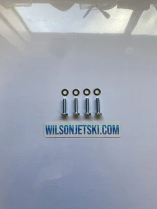 Kawasaki Js440 Js550 Ride Plate Hardware (bolts & Washers) - Picture 1 of 1