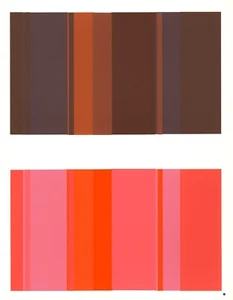 Josef Albers - "The Interaction of Color" Plate XVIII-10 Left - Picture 1 of 5